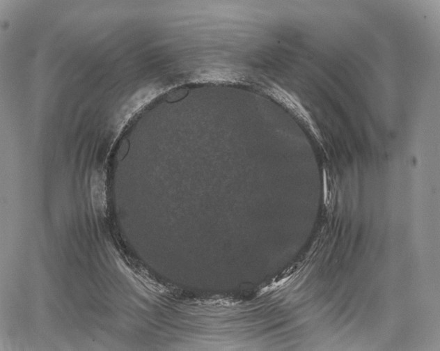 X0000067910204200604171347