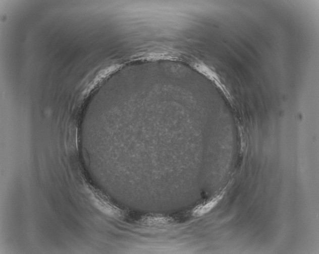 X0000067910205200604171347