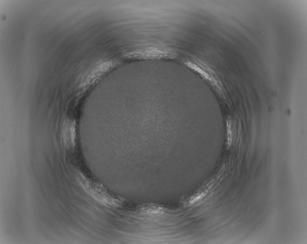 X0000067910206200604171347