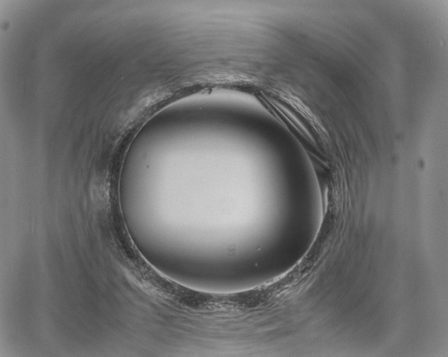 X0000067910207200604171347