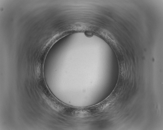 X0000067910208200604171347