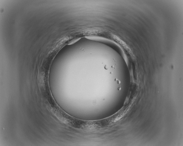 X0000067910209200604171347