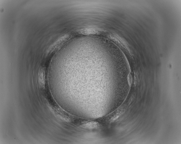 X0000067910210200604171347