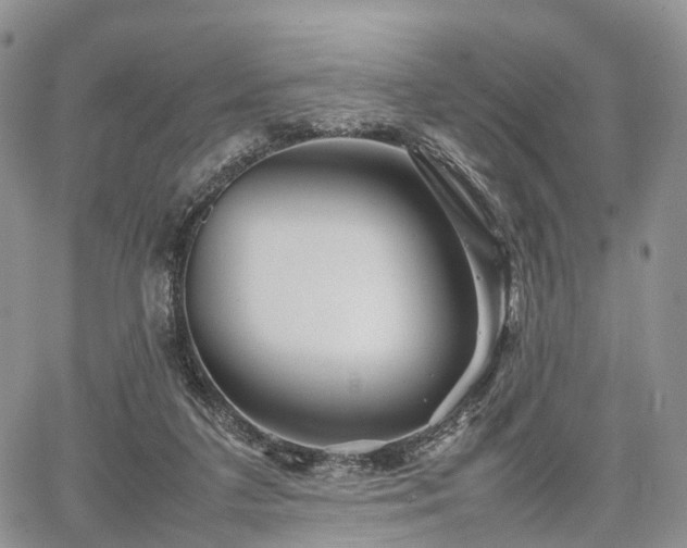 X0000067910211200604171347