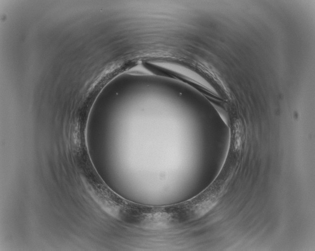 X0000067910212200604171347