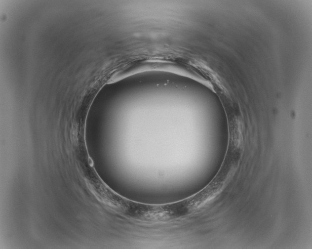 X0000067910213200604171347