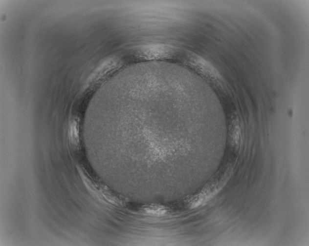 X0000067910214200604171347