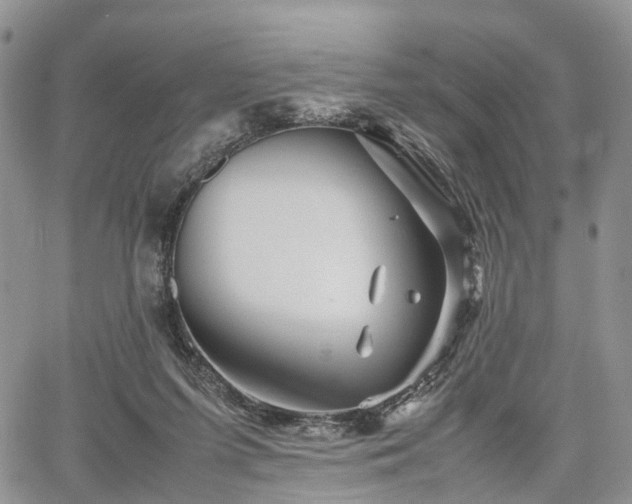 X0000067910215200604171347