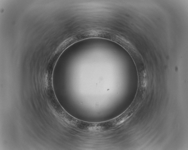 X0000067910216200604171347