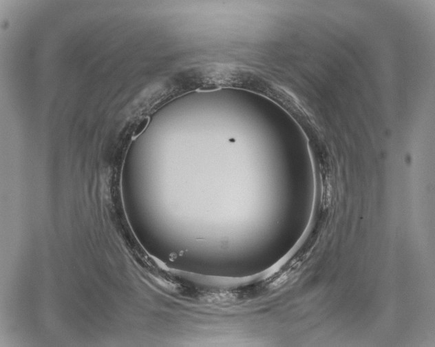 X0000067910217200604171347