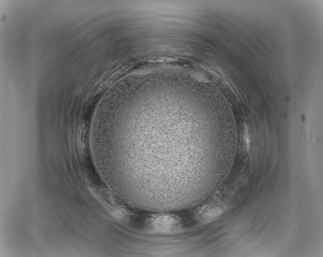 X0000067910218200604171347