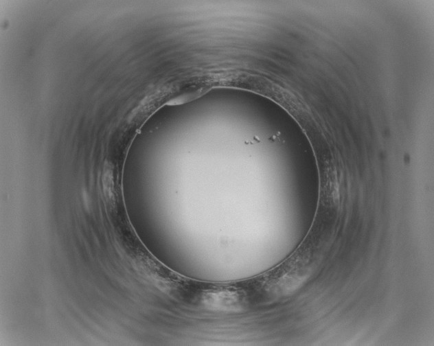 X0000067910220200604171347