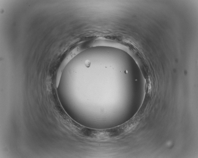 X0000067910221200604171347