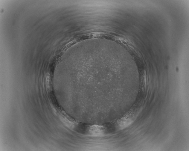 X0000067910222200604171347