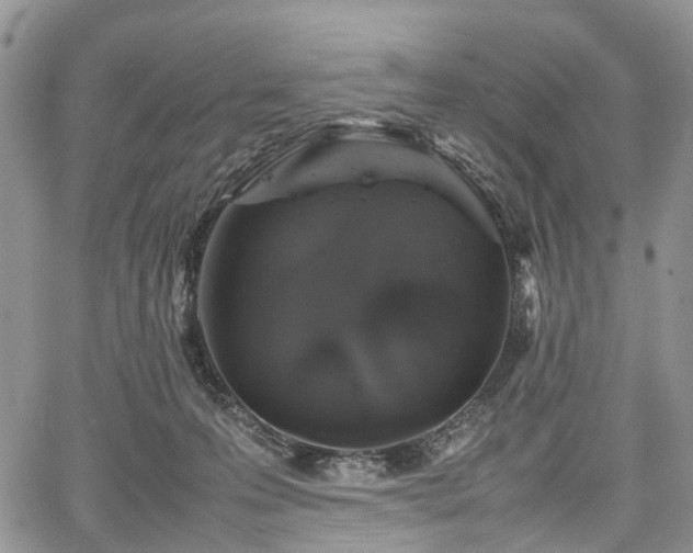 X0000067910223200604171347