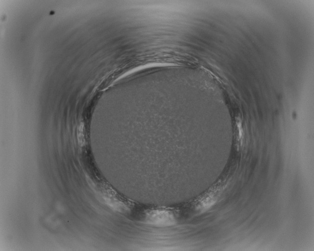 X0000067910224200604171347