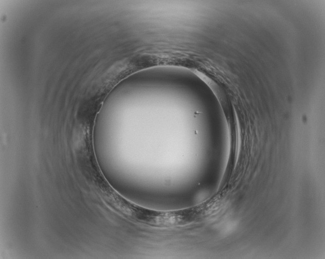 X0000067910225200604171346