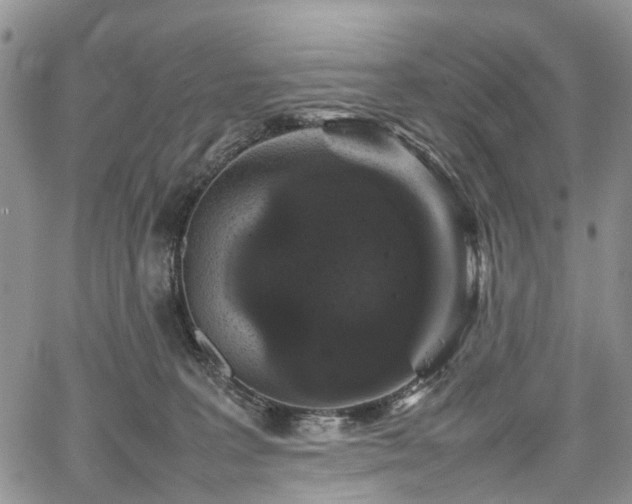 X0000067910227200604171346