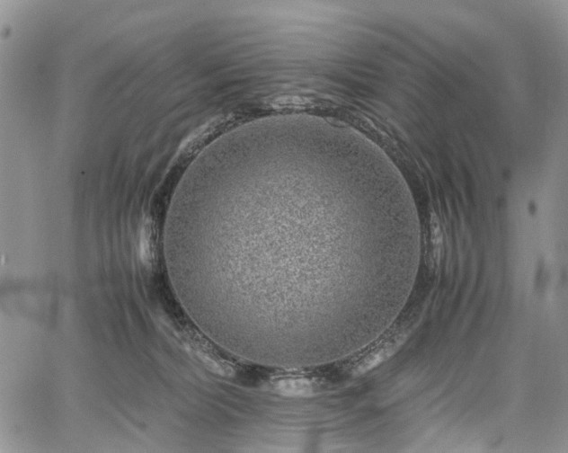 X0000067910228200604171346