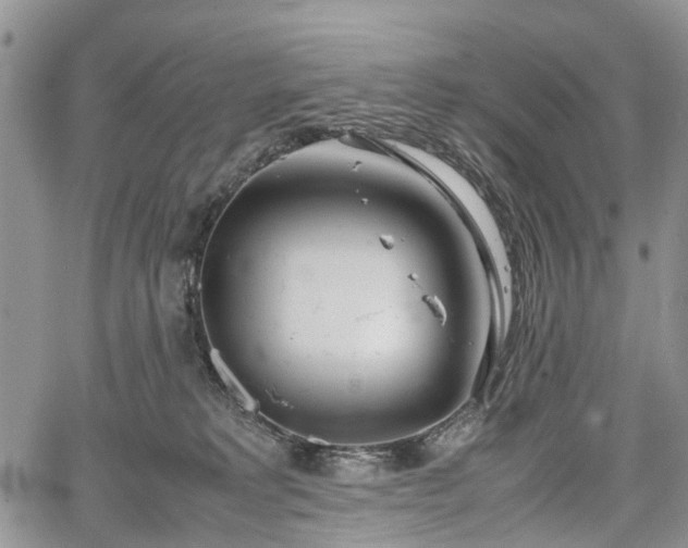 X0000067910229200604171346