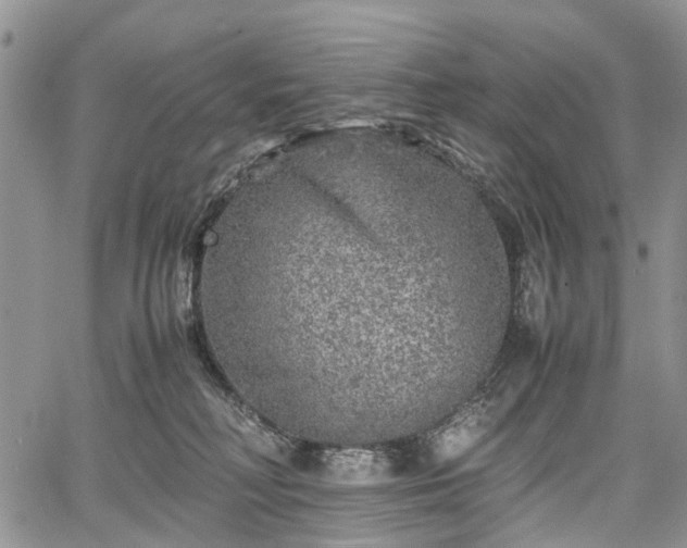 X0000067910230200604171346