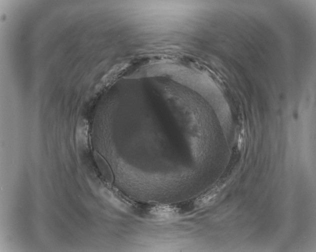 X0000067910231200604171346