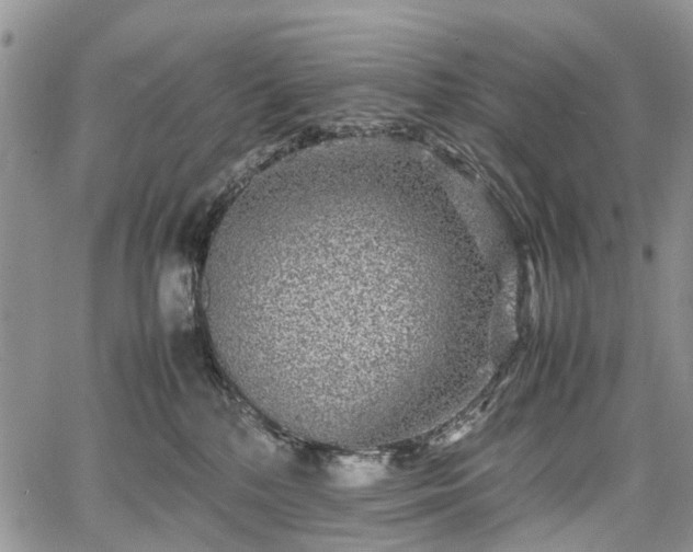 X0000067910232200604171346