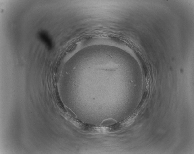 X0000067910233200604171346