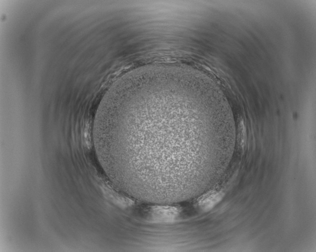 X0000067910234200604171346