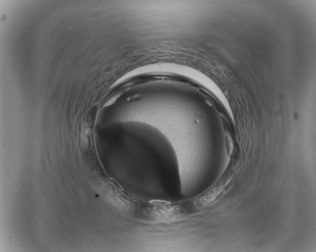 X0000067910235200604171346