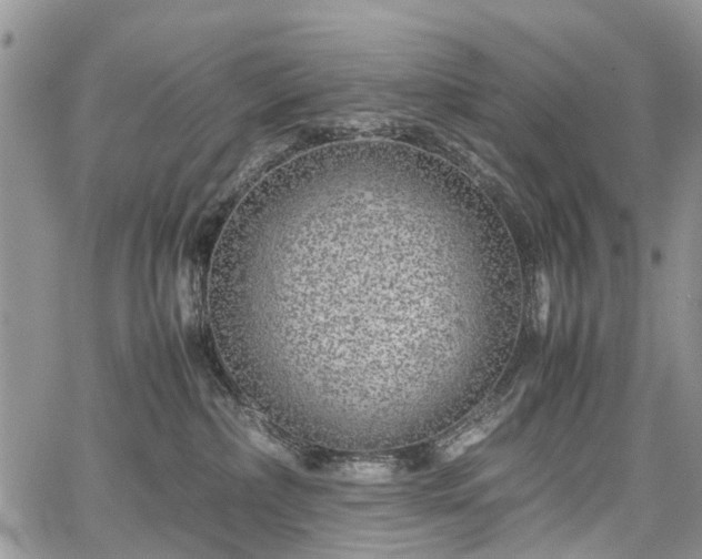 X0000067910236200604171346