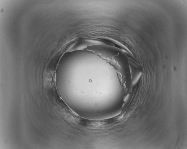 X0000067910237200604171346