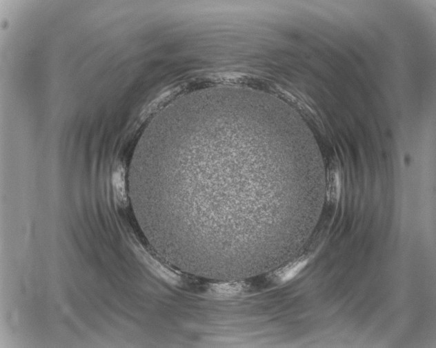 X0000067910238200604171346