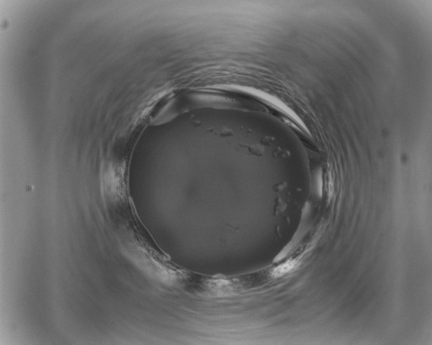 X0000067910239200604171346