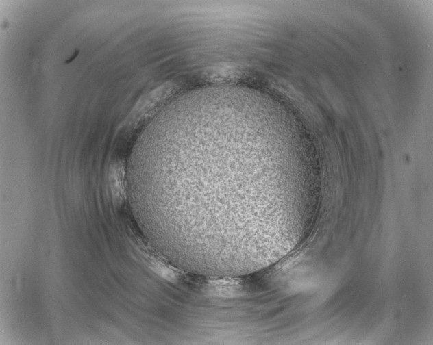 X0000067910240200604171346