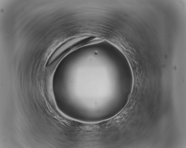 X0000067910241200604171345