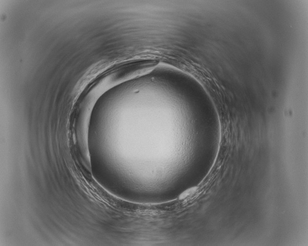 X0000067910242200604171345