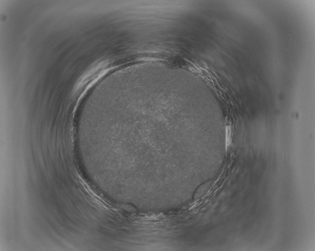 X0000067910243200604171346