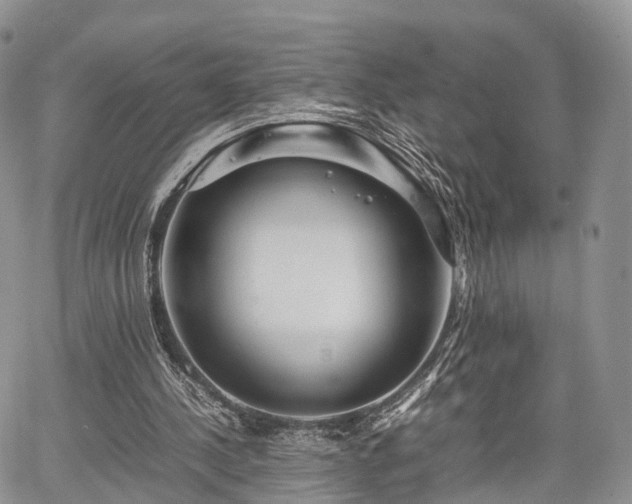 X0000067910244200604171346