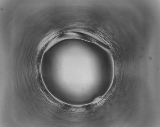 X0000067910245200604171346