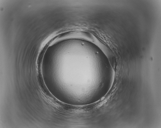 X0000067910246200604171346