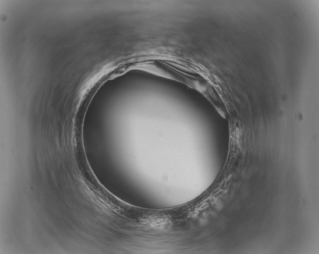 X0000067910248200604171346