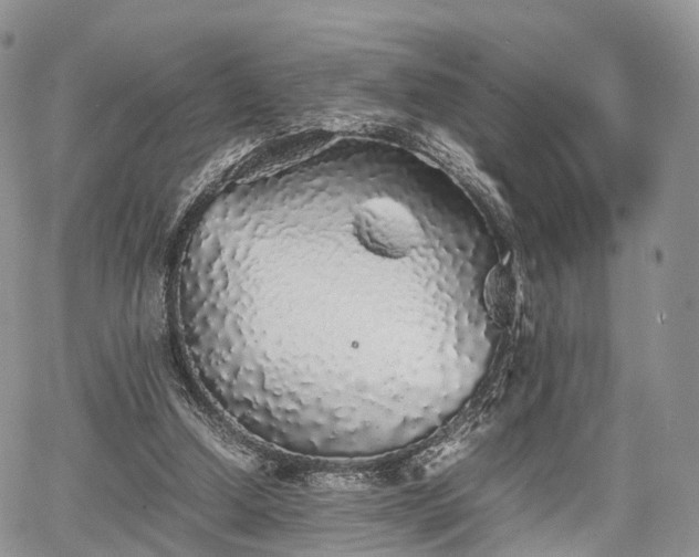 X0000067910250200604171346