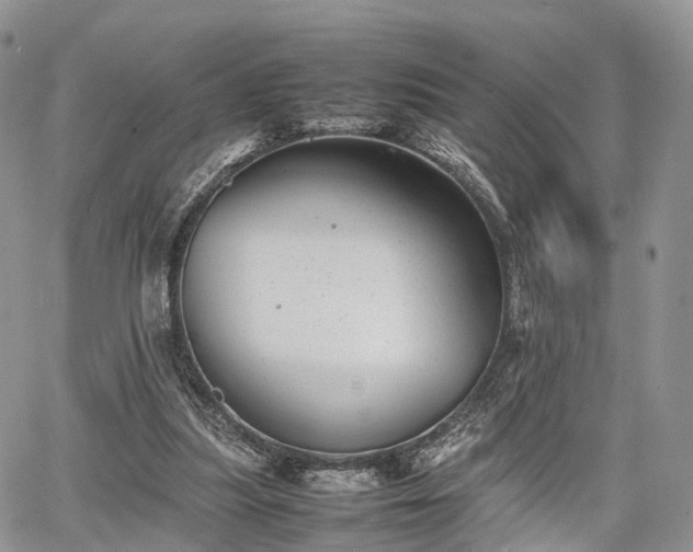 X0000067910251200604171346