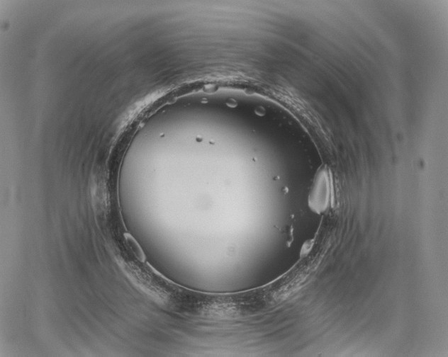 X0000067910252200604171346