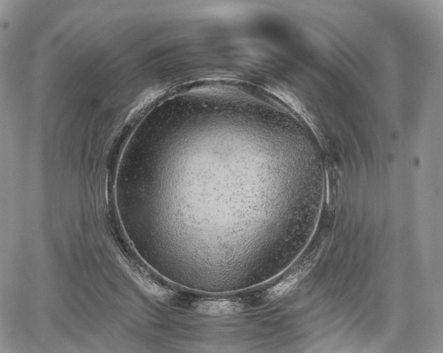 X0000067910253200604171346