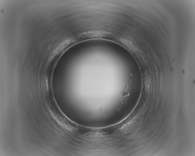 X0000067910254200604171346