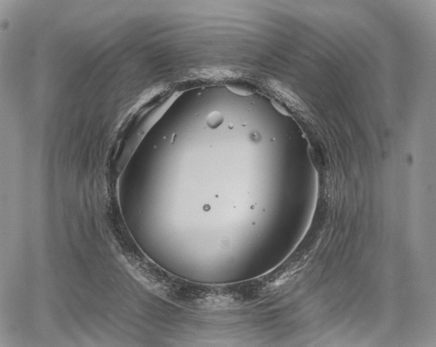 X0000067910256200604171346