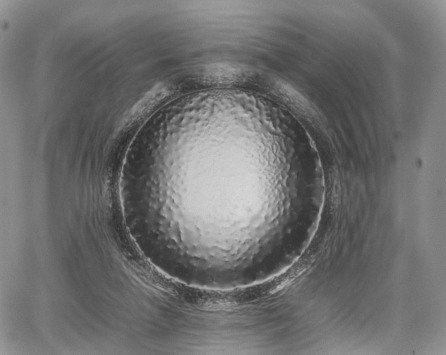 X0000067910258200604171346