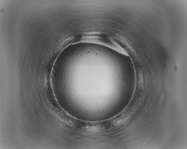 X0000067910259200604171346